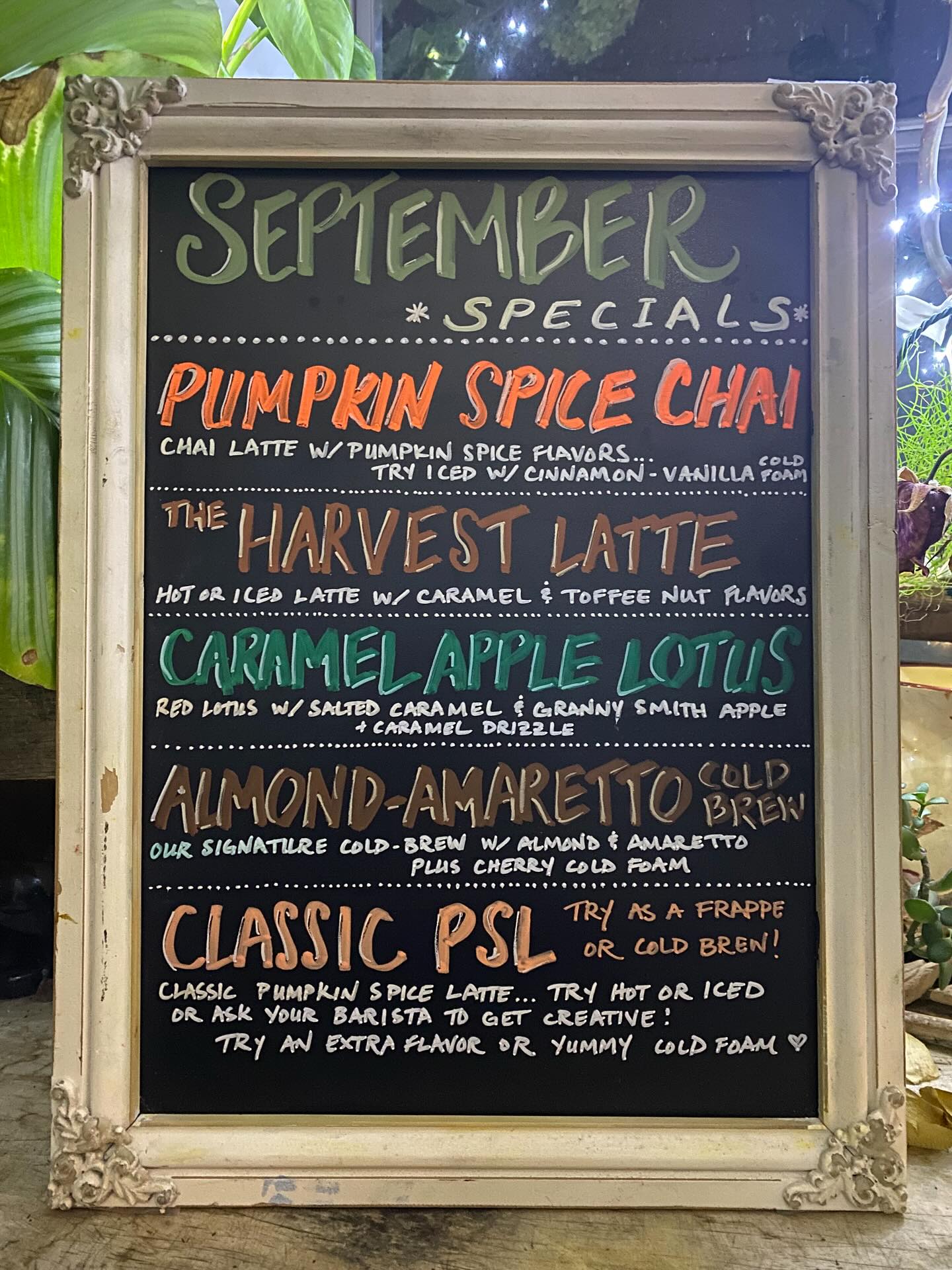 Monthly Specials